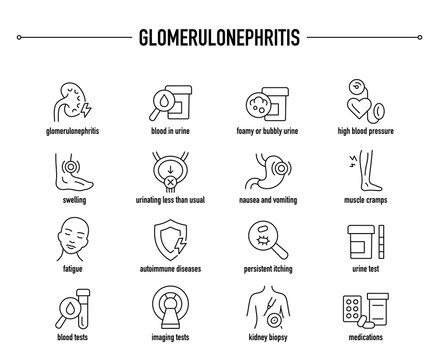 Glomerulonephritis symptoms, diagnostic and treatment vector icon set. Line editable medical icons.