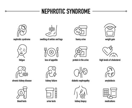 Nephrotic Syndrome symptoms, diagnostic and treatment vector icon set. Line editable medical icons.