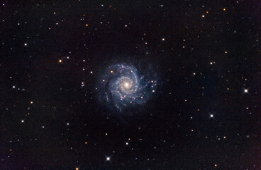 Obraz na płótnie Canvas M101 Galassia
