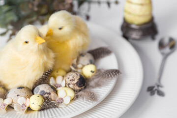 Banner. The concept of a bright Easter holiday. A bouquet of flowers with feathers, yellow chickens and Easter quail eggs in a plate on a white isolated background. Beautiful Easter card.