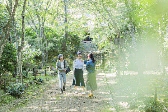 参道を歩く3人の女性