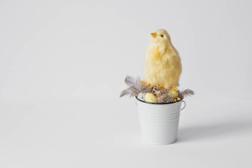 Banner. The concept of the holiday. Easter quail eggs in a white iron bucket and yellow chickens on a white isolated background. Beautiful Easter card.