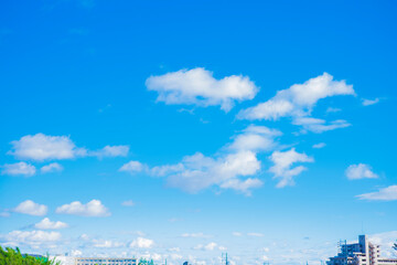 Obraz premium 青空と白い雲