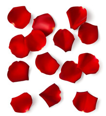 Set of decorative realistic red rose petal with shadow isolated on white. Wedding or Valentines Day design elements. Flat lay. Vector stock illustration.