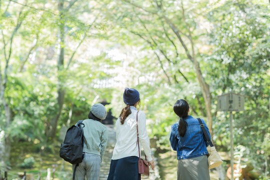 参道を歩く3人の女性