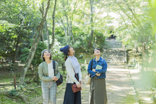 参道を歩く3人の女性