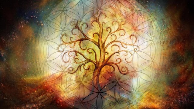 tree of life symbol on structured and space background, yggdrasil. Loop Animation.