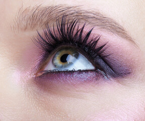 Obraz premium Closeup macro shot of human female eye. Woman with lilac beauty eyes makeup.