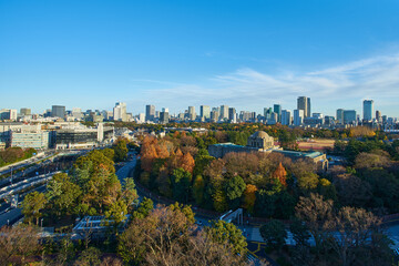 Obraz premium 東京の風景