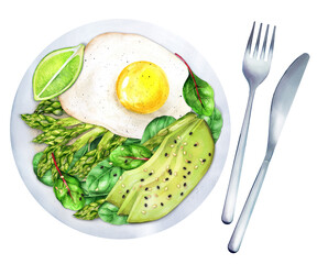 Asparagus, spinach, avocado and egg in plate. Watercolor illustration