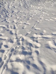 Fototapeta na wymiar Dnow surface with foot prints at Sunny winter day