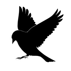 Bird silhouette vector