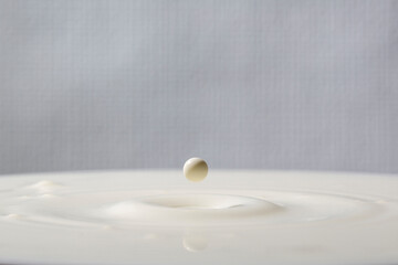 Milch tropft in Milch - Makroaufnahme