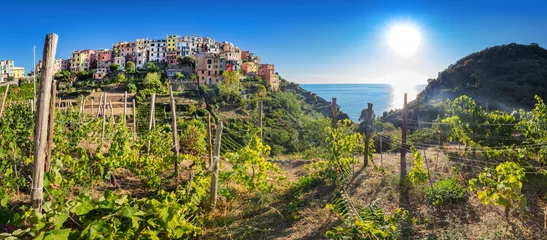 Fototapete Ligurien Corniglia in Cinque Terre, Italy with vineyards and terraces panorama