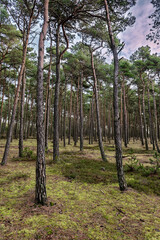 Lake Fils&oslash; Filsoe in the western part of Denmark