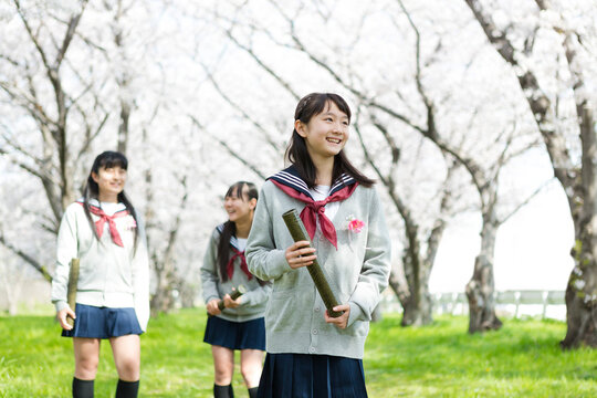 桜並木に佇む女子校生