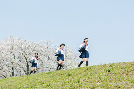 １列に並んで歩く女子校生