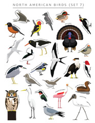 North American Birds Set Cartoon Vector Character 7 - obrazy, fototapety, plakaty