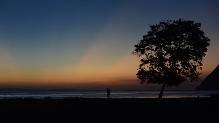 Silhouette humaine et d'un arbre au coucher de soleil sur l'île de Sumbawa en Indonésie.