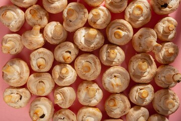 Raw champignons for cooking. Abstract structure of mushrooms on a pink background