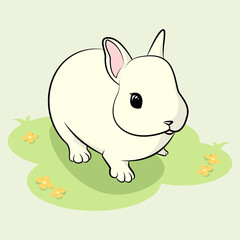 Cute white bunny, rabbit illustration vector