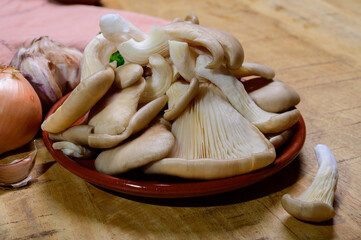 Tasty vegetarian food, fresh organic Pleurotus ostreatus, or oyster mushrooms, hiratake, or pearl oyster mushrooms
