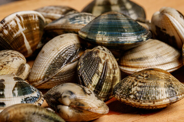 Close up of a cutting board with clams on top