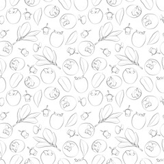 Persimmon isolated on white background with clipping path. A set of seamless patterns with kiwi. Vector graphics, 1000x1000.
