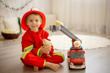 Little toddler child, playing with fire truck car toy and little chicks at home