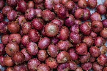Thai red onion, Fresh purple shallots, Concept of spices in healthy cooking.