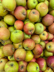 a lot of ripe apples food vitamins healthy nutrition as a background