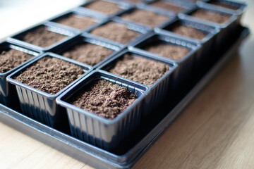 Growing vegetables at home. Containers filled with soil for seedlings.