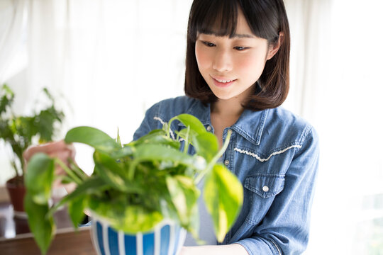 観葉植物を手に持つ女性