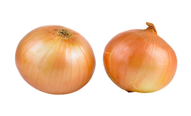 onion on transparent png