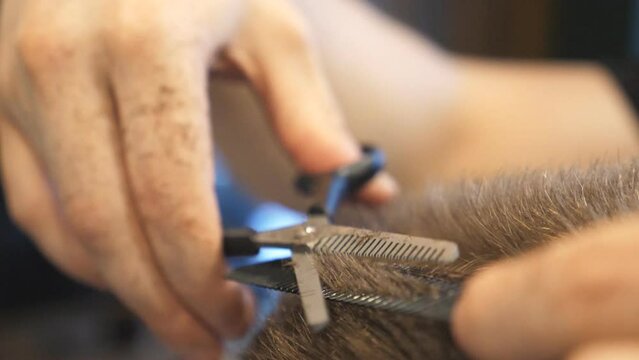 Close up arms of barber trimming brown hair of his client in salon. Male hands of hairdresser combing and cutting short hair of customer with hairbrush and scissors in barbershop. Slow motion