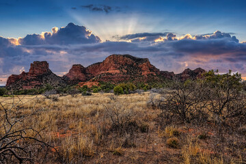 Arizona