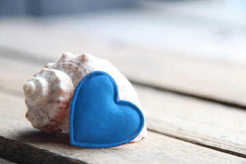 Shell on a wooden background. Marine background.