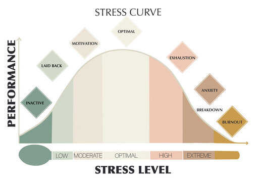 Stress management. Yerkes and Dodson stress curve. Performance and stress phase. Simple and minimalist illustration. isolated image