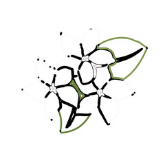 color line art of jasmine flower with transparent background