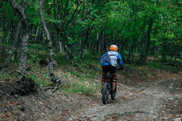 Obraz premium A man on a bike rides in the woods in a park cyclist cycling