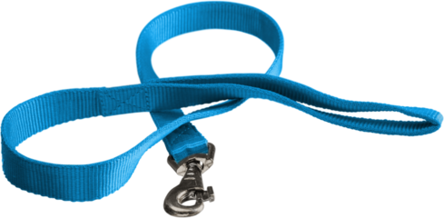 Nylon Dog Leash with metal carabiner