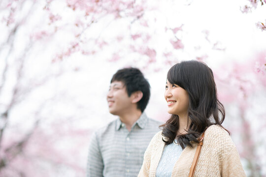 桜を眺めるカップル