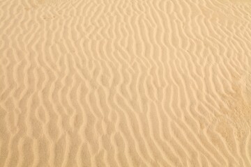 Fototapeta na wymiar Sahara desert sand background
