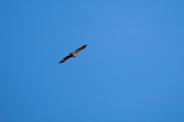 Impressionen von Norwegen im Winter