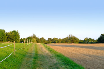 beautiful spring, summer village landscape, arable land, young plants, green fields of ripening agro culture, agricultural concept, growing crop, environmentally friendly plants, vegetable production