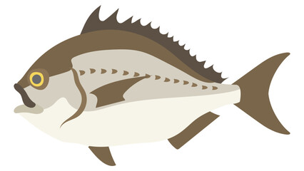 クロダイのフラットなベクターイラスト