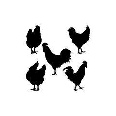 rooster set silhouette icon logo