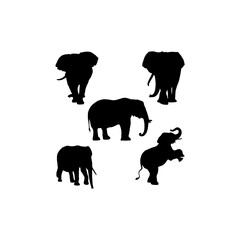 elephant set silhouette icon logo