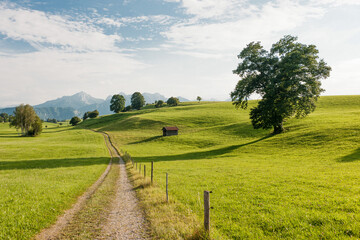 A rural gravel road runs next to a pasture fence through the rolling hills of the foothills of the...