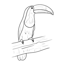 Outline image of a bird for coloring and decoration material